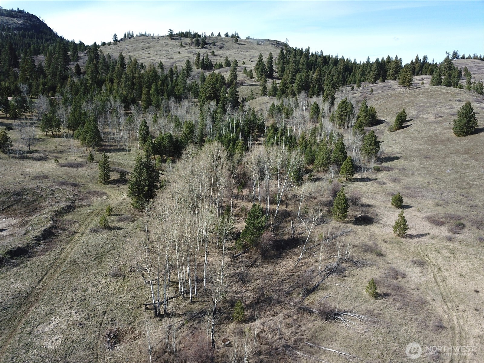 51 Valley High Road Malo, WA 99150 - Photo 23 of 36 Gallery Image 23