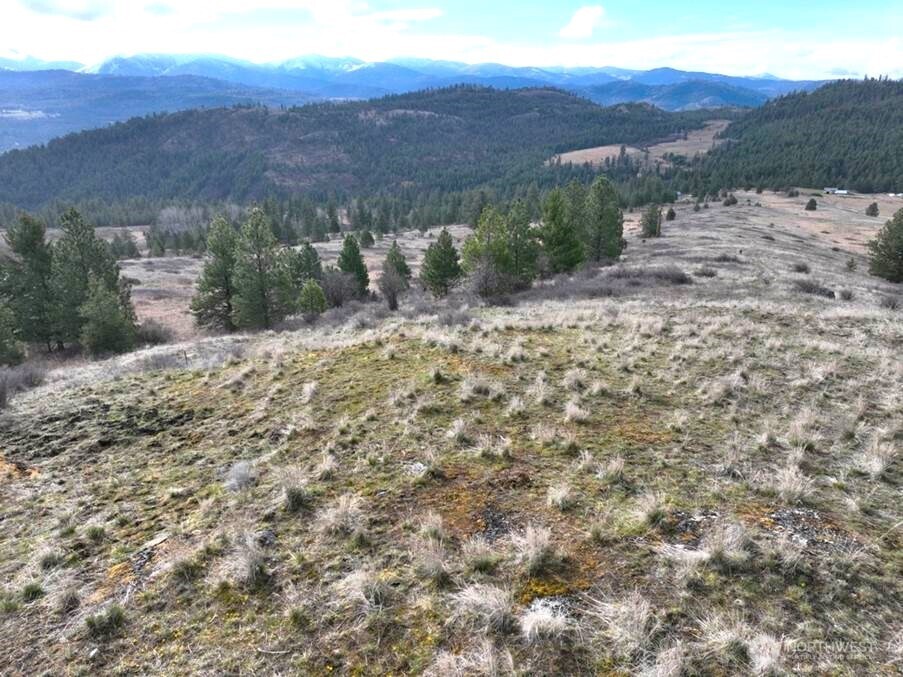 51 Valley High Road Malo, WA 99150 - Photo 28 of 36 Gallery Image 28