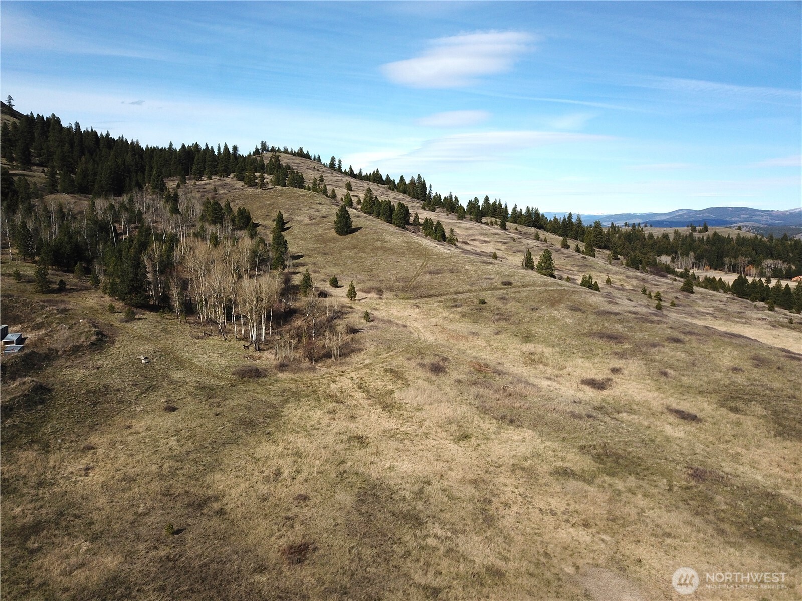 51 Valley High Road Malo, WA 99150 - Photo 8 of 36 Gallery Image 8