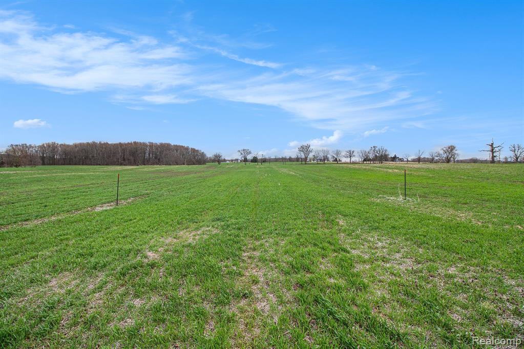2 Mohrle Road Fowlerville, MI 48836 - Photo 12 of 18