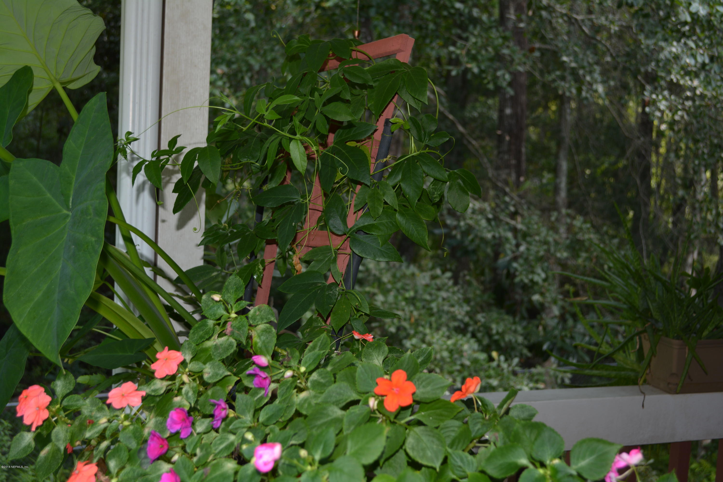 4641 Barber Road Macclenny, FL 32063 - Photo 30 of 70 DSC_0489