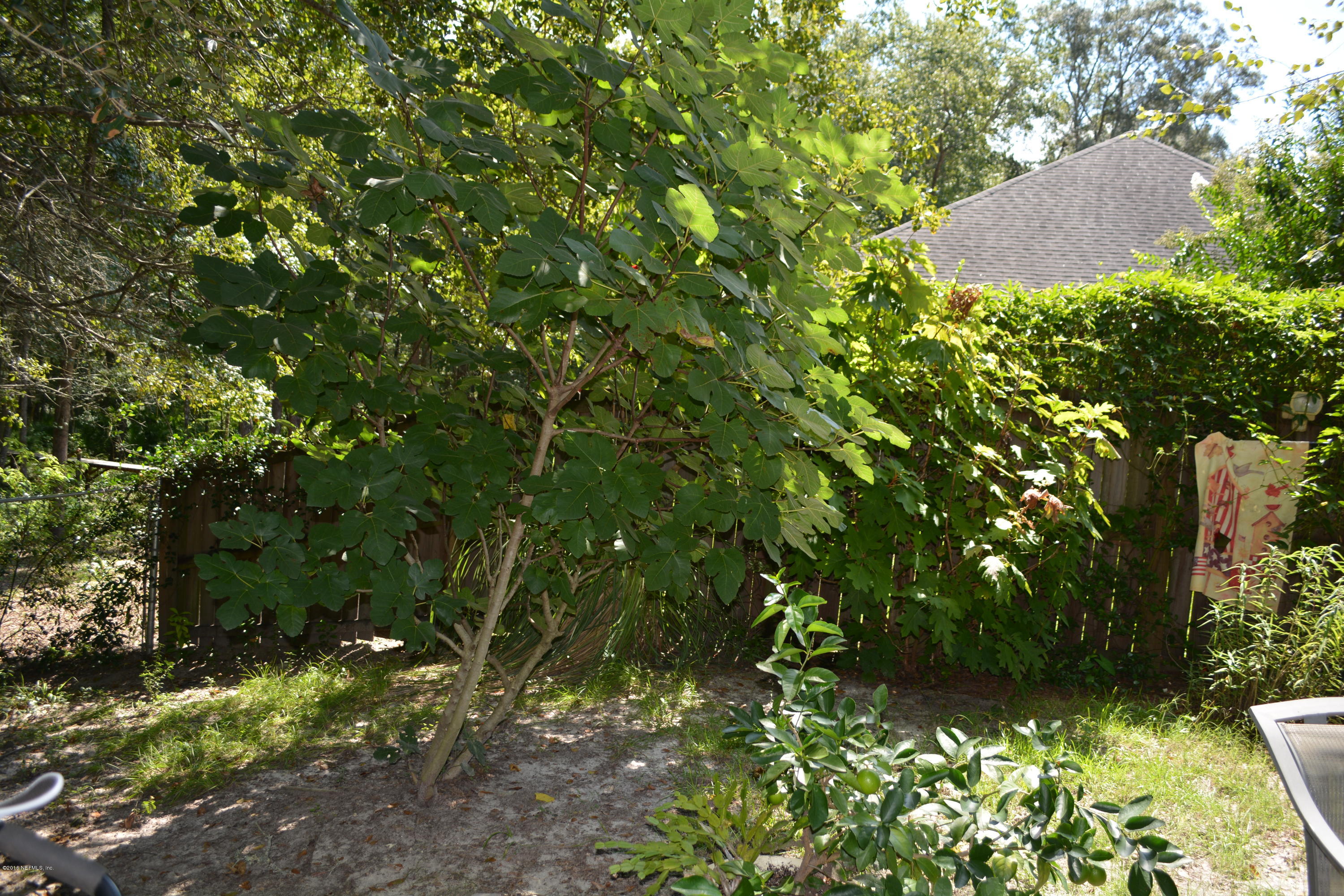 4641 Barber Road Macclenny, FL 32063 - Photo 70 of 70 DSC_0514