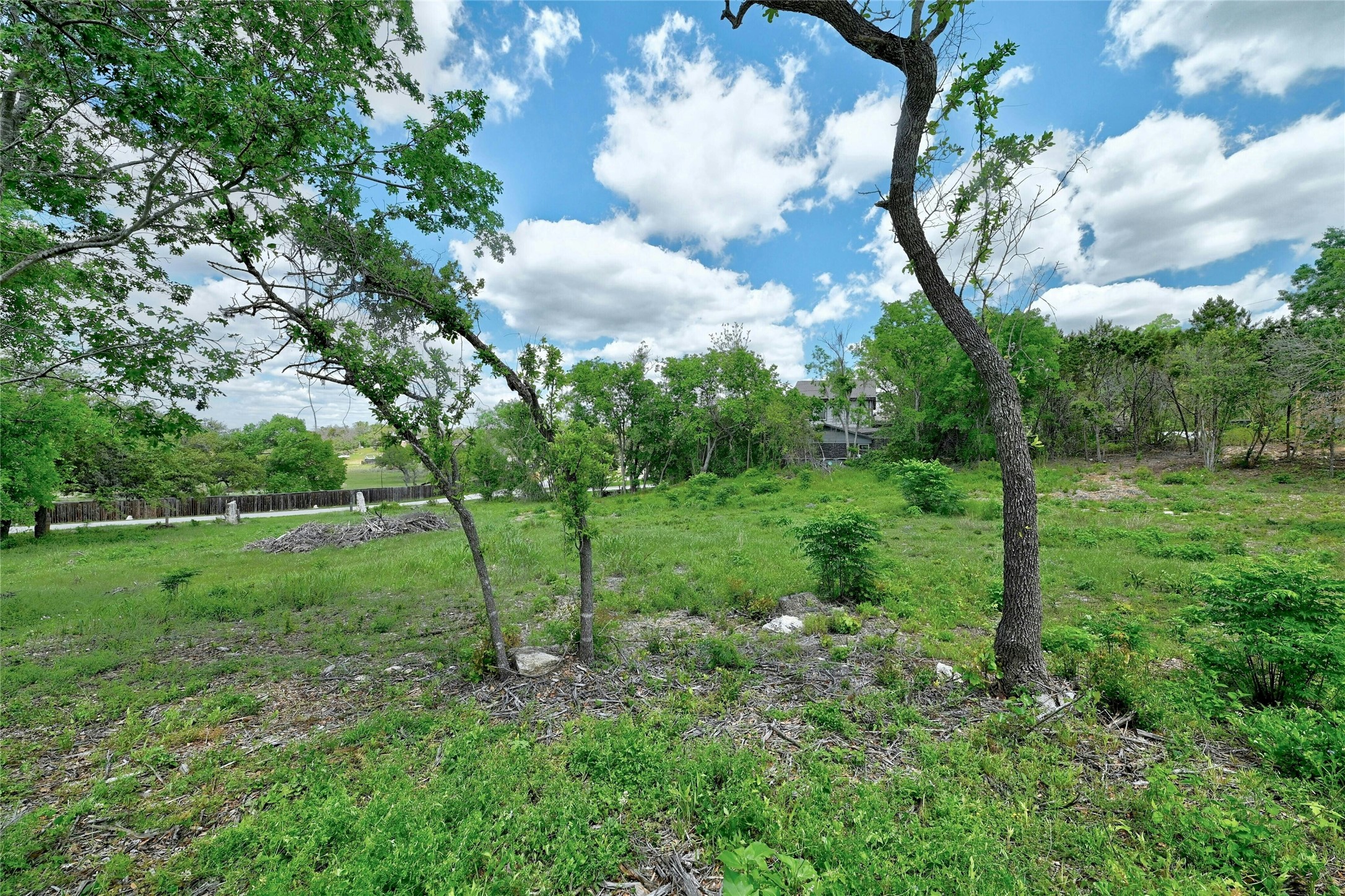 17168 Rocky Ridge Road Austin, TX 78734 - Photo 19 of 20 View of yard featuring view of wooded area