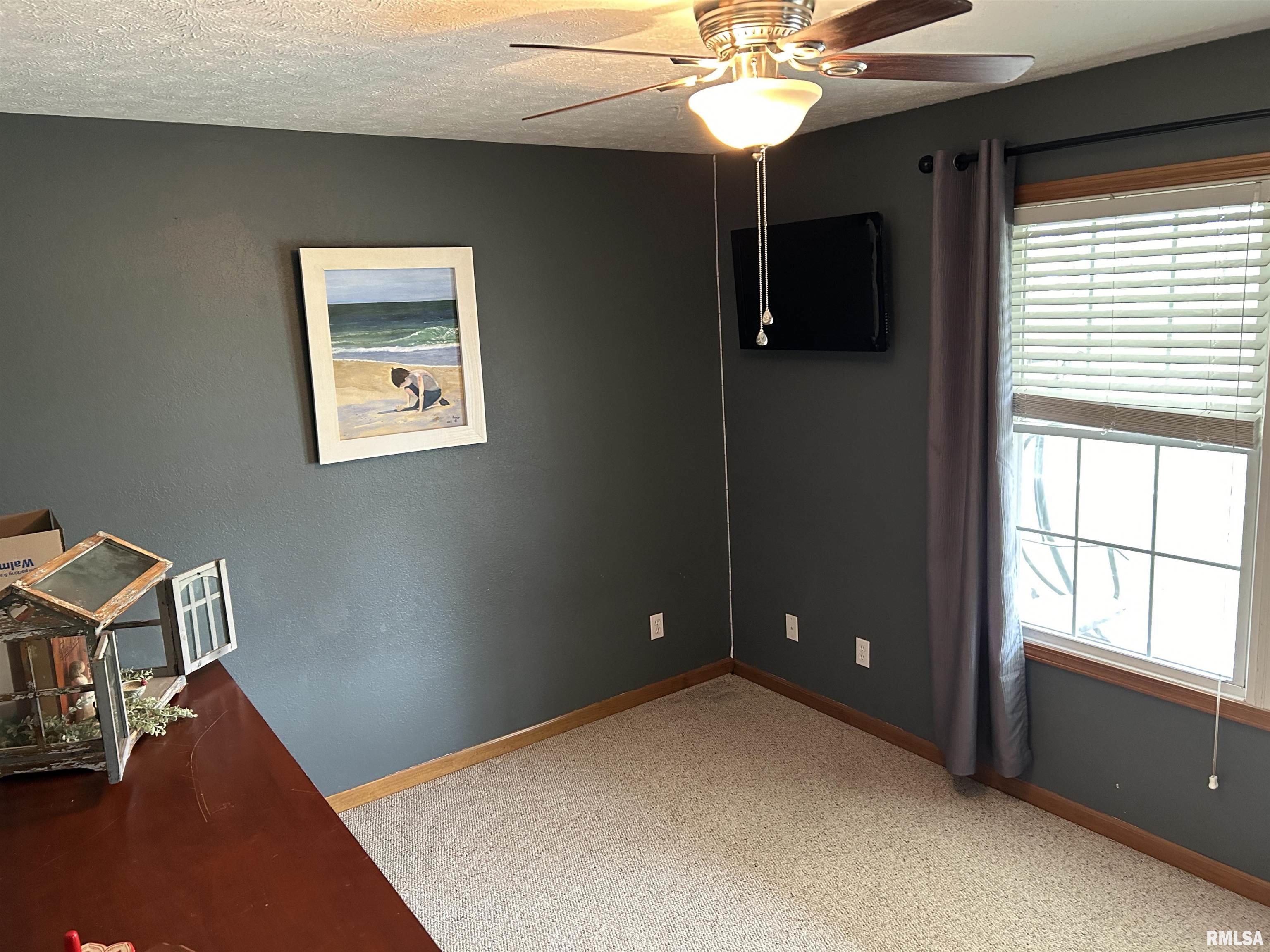 3423 Red Stripe Road Salem, IL 62881 - Photo 12 of 49