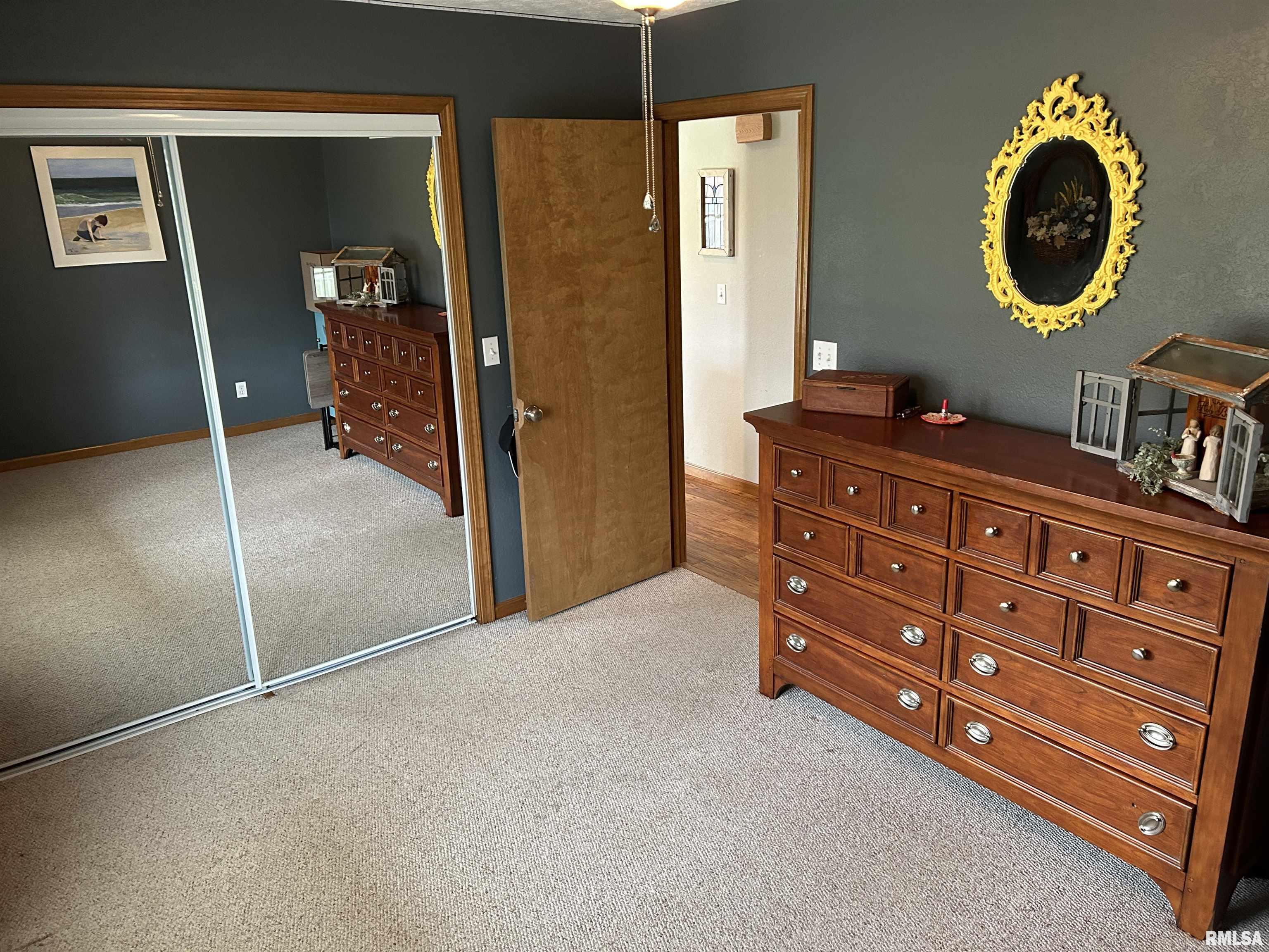 3423 Red Stripe Road Salem, IL 62881 - Photo 13 of 49