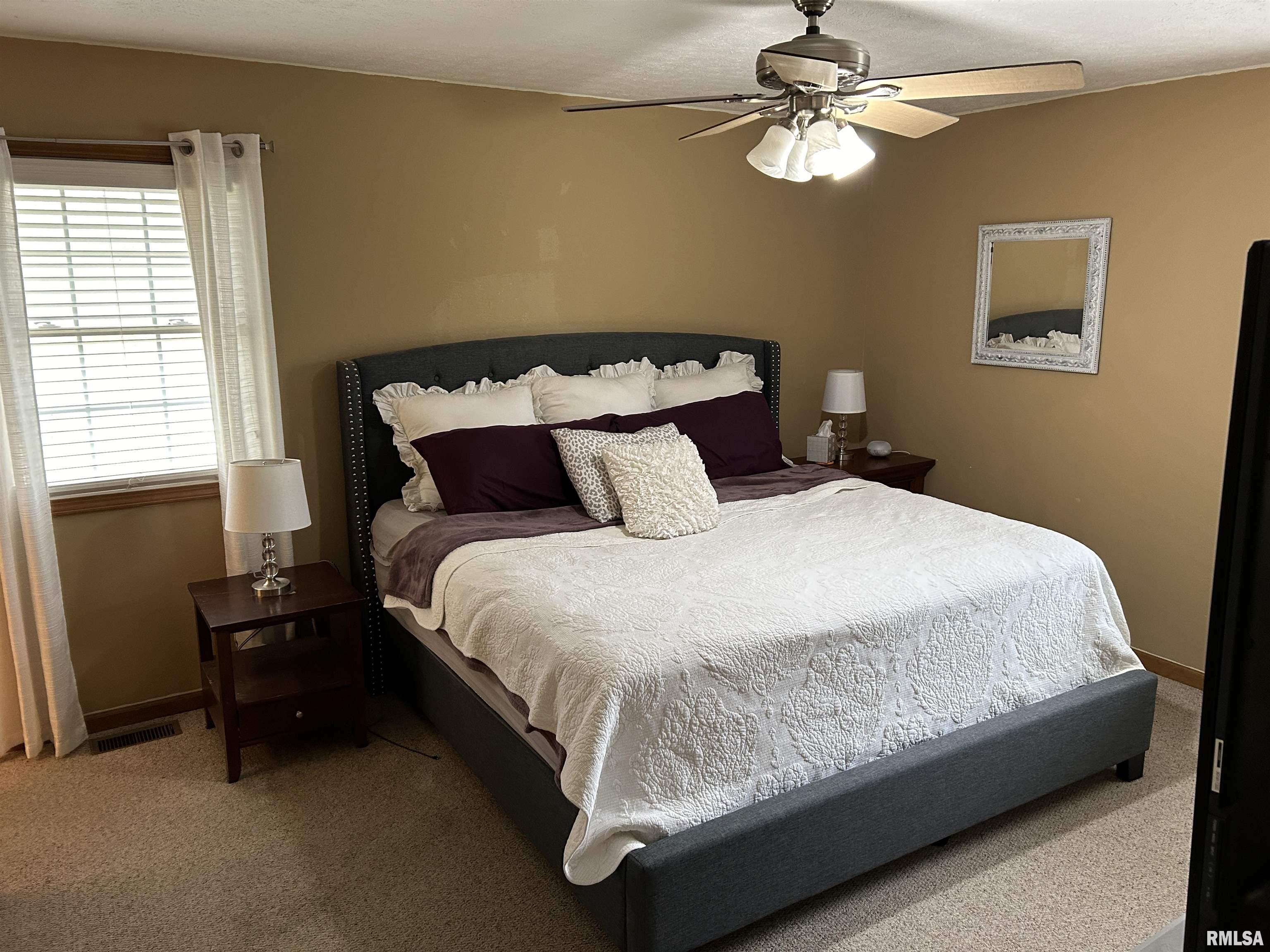 3423 Red Stripe Road Salem, IL 62881 - Photo 17 of 49