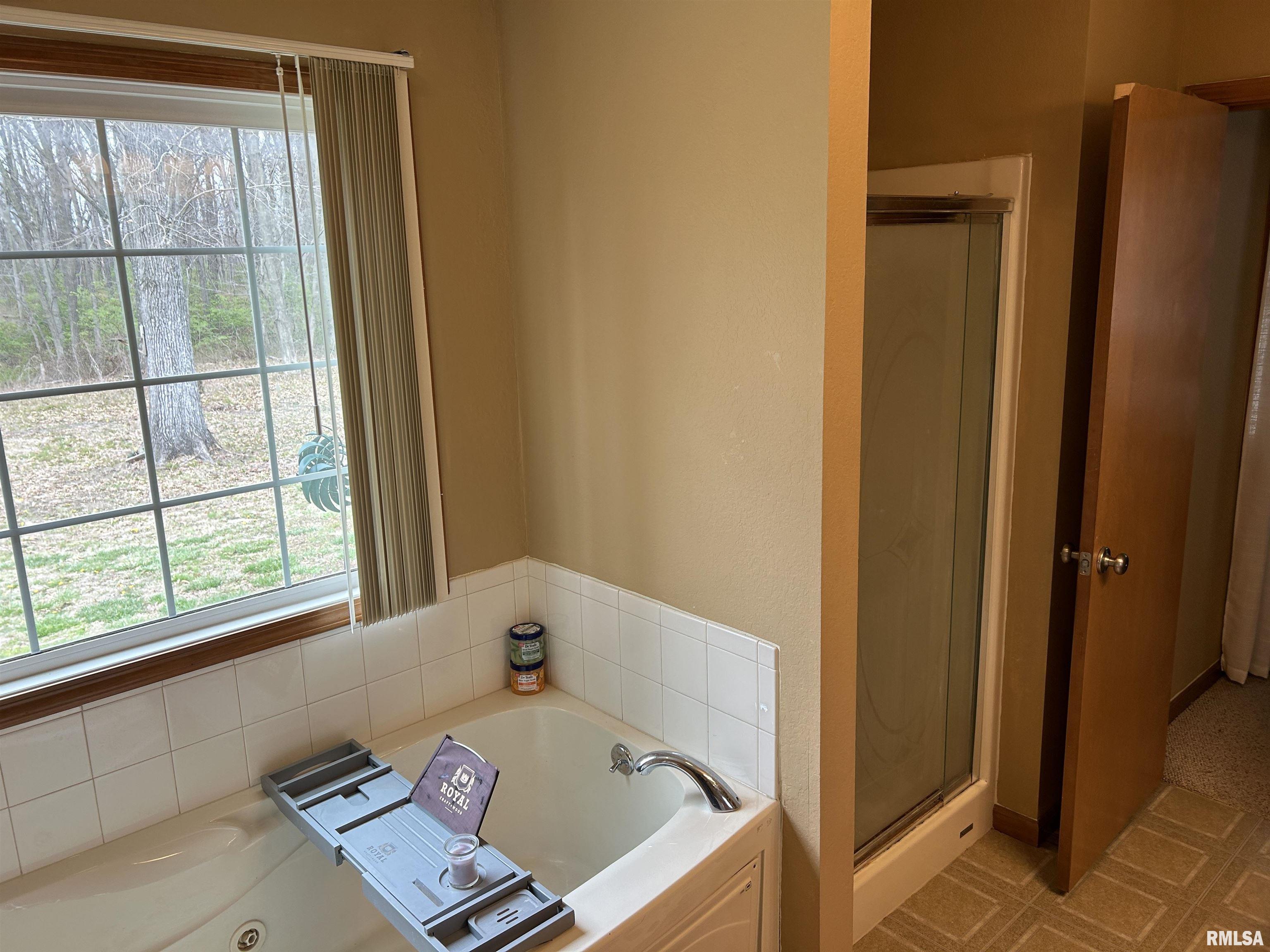 3423 Red Stripe Road Salem, IL 62881 - Photo 21 of 49