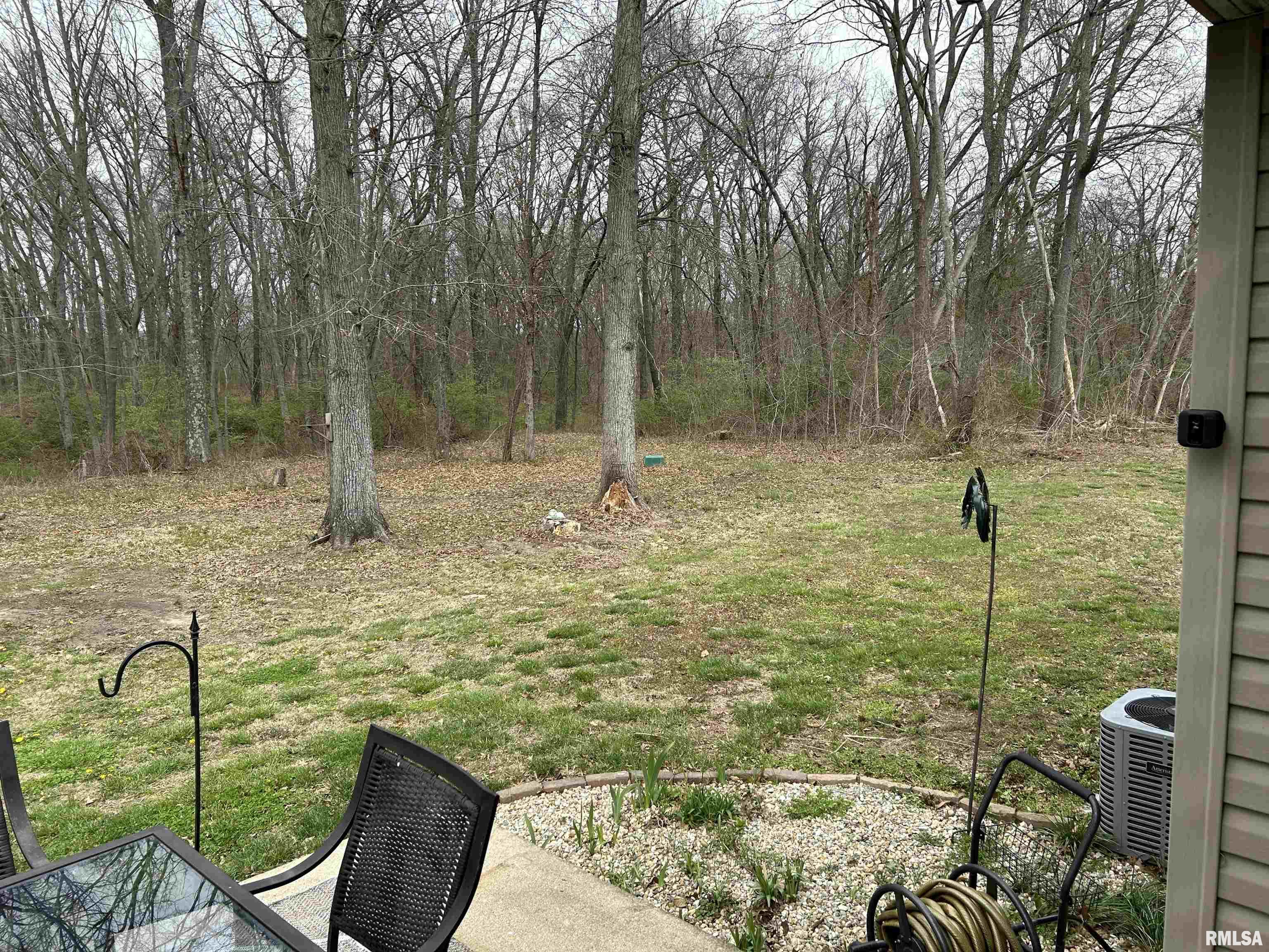 3423 Red Stripe Road Salem, IL 62881 - Photo 43 of 49