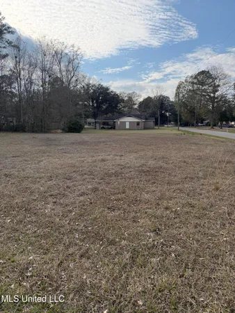 $20,000 | Lafayette Avenue, Leakesville, MS 39451