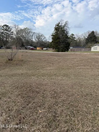 $20,000 | Lafayette Avenue, Leakesville, MS 39451