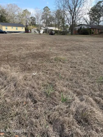 $20,000 | Lafayette Avenue, Leakesville, MS 39451