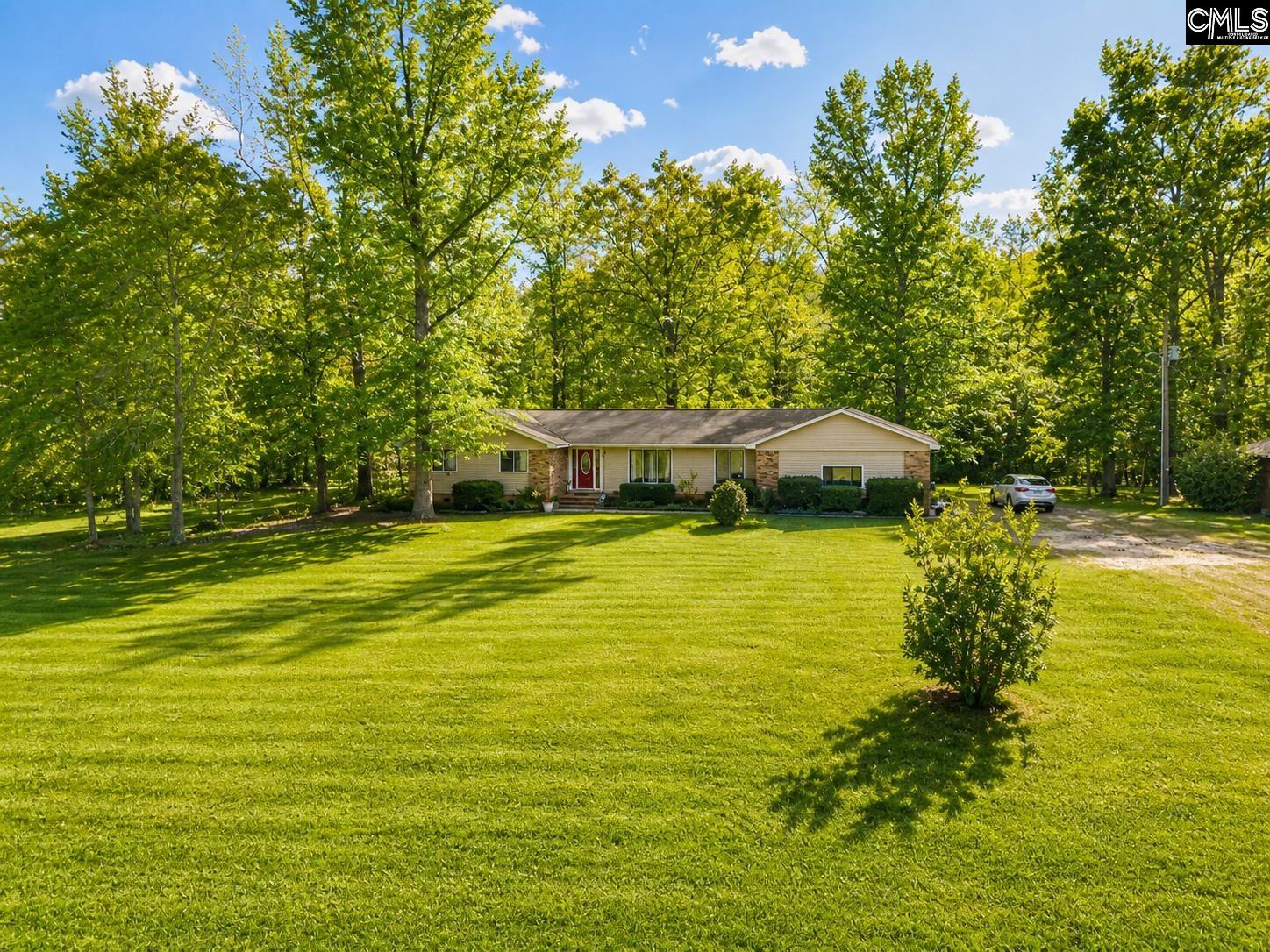 550 Old Shoals Road Monetta, SC 29105 - Photo 3 of 28