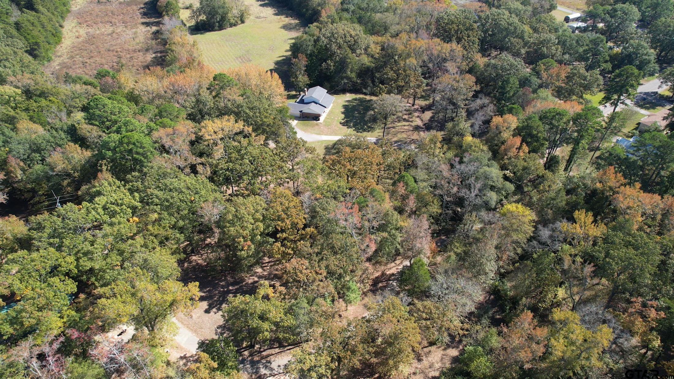 810 Jeanell Street Quitman, TX 75783 - Photo 36 of 37 a view of a forest with a houses