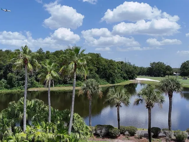 a view of a lake with a garden