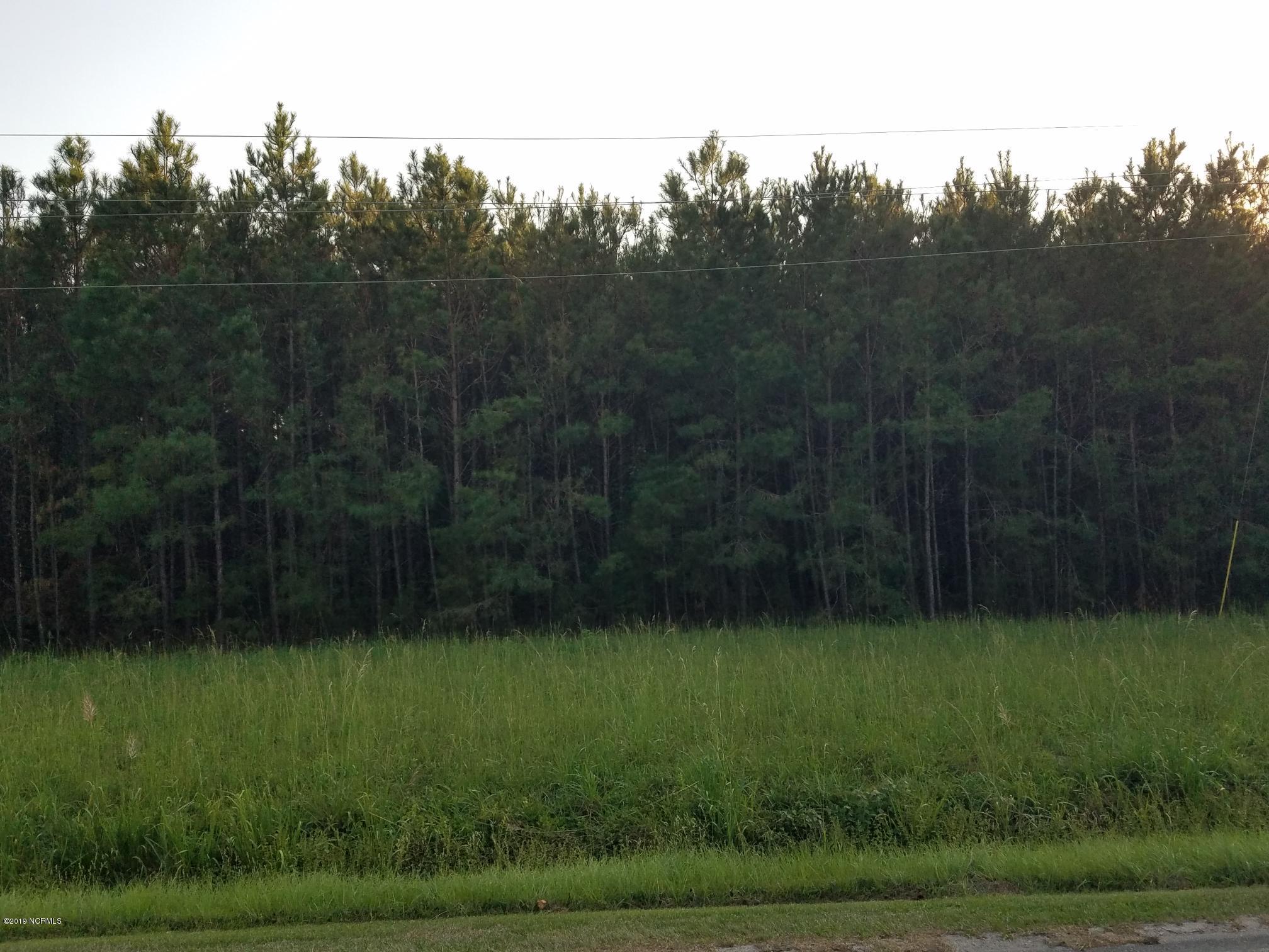 9.56-ac Calabash Road Northwest Calabash, NC 28467 - Photo 14 of 19 20190929_174836(1)