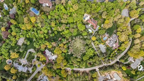 a view of a yard with a trees
