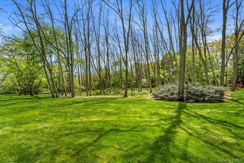 a big yard with lots of green space and trees