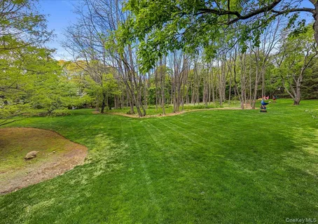 a view of a park with a tree