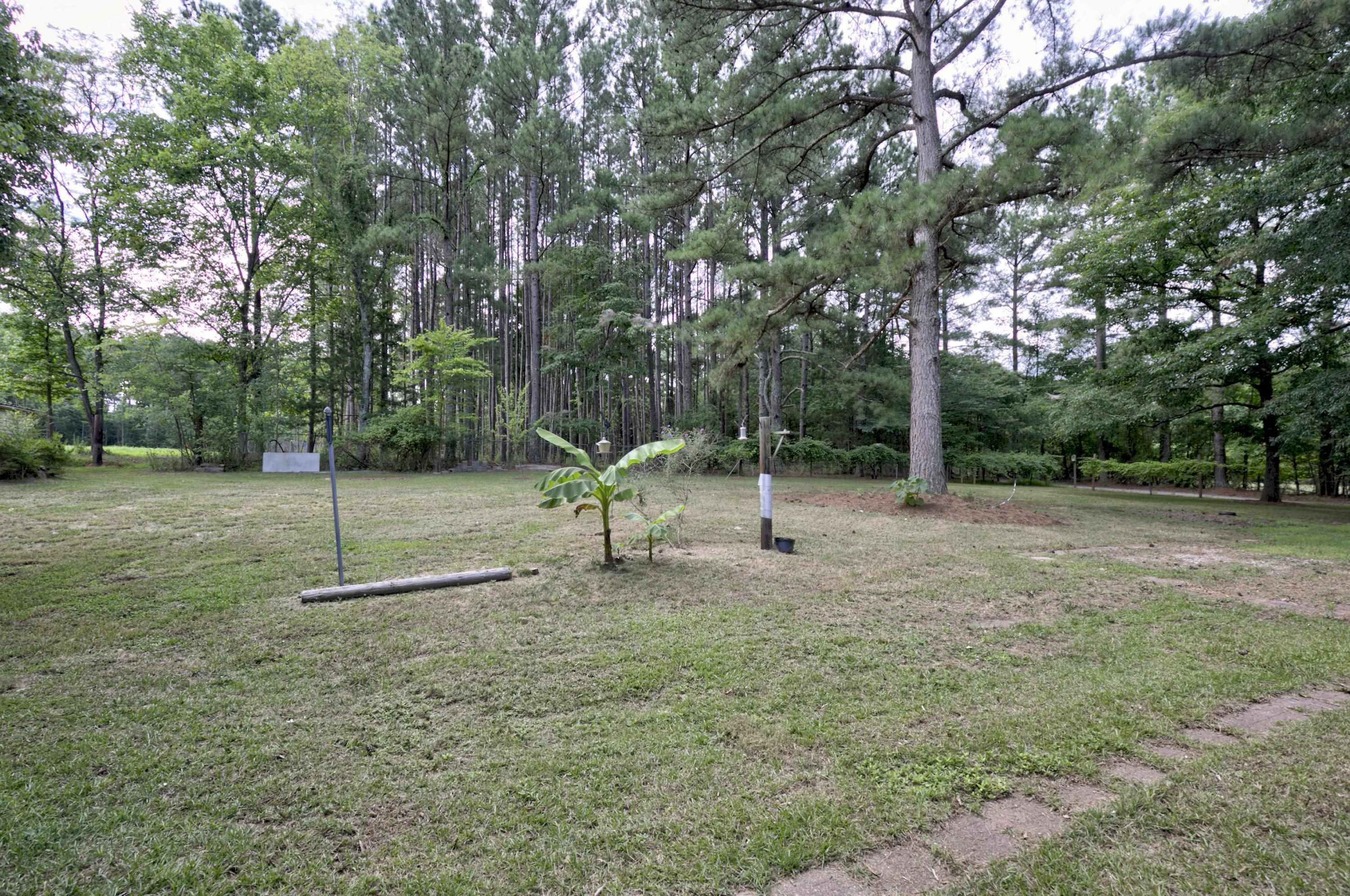 2737 Banks Road Raleigh, NC 27603 - Photo 30 of 48 Photo 30