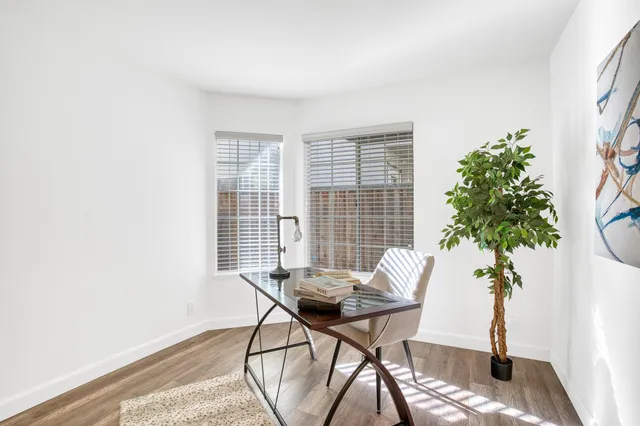 a living room with furniture and a potted plant