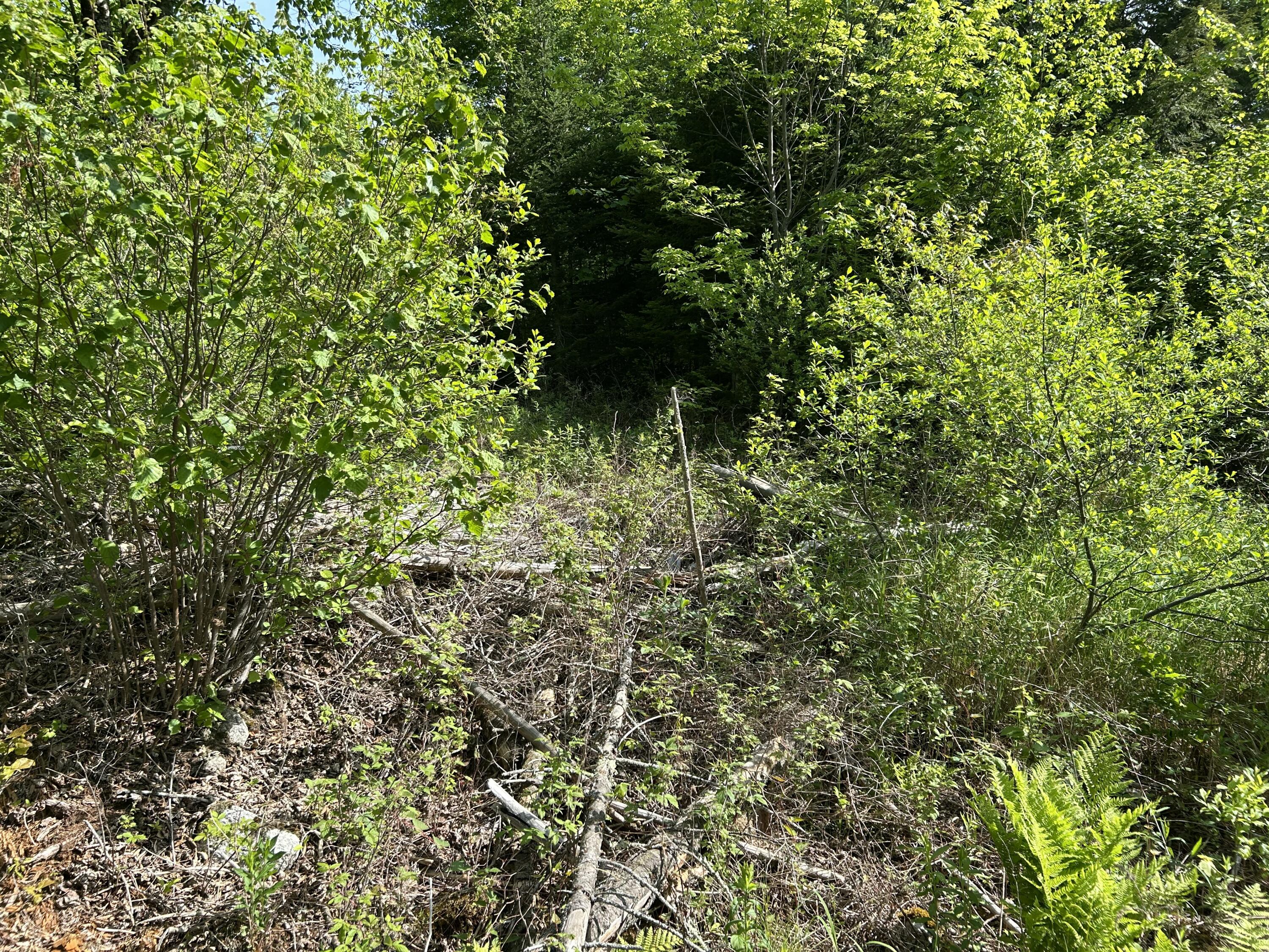 M5-l13 Clark Road Prospect, ME 04981 - Photo 16 of 33 IMG_8808