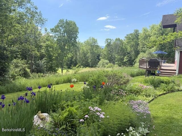 324 Oblong Road Williamstown, MA 01267 - Photo 31 of 42 Garden