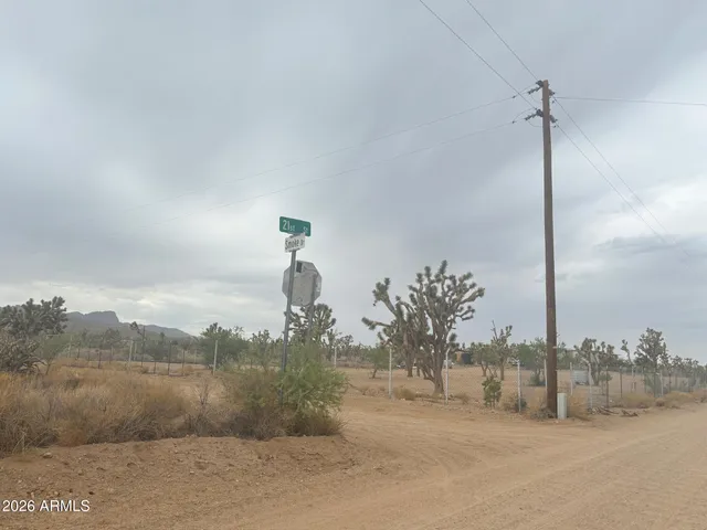 a view of a dry yard with mountain