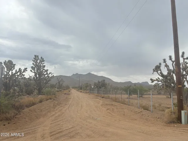 a view of a dry yard with mountain