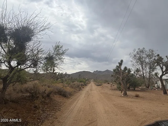 a view of a dry field with trees in the background