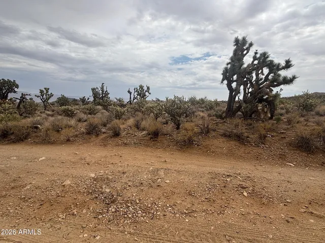 a lamp on a table in a room
