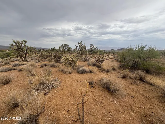 a car parked on the side of a road