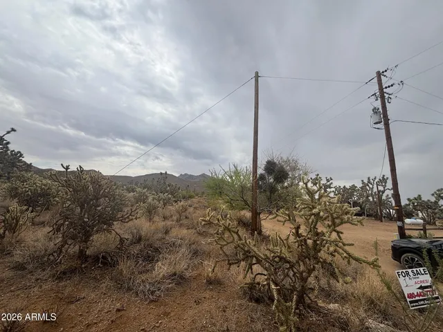 a view of a dry yard with wooden fence