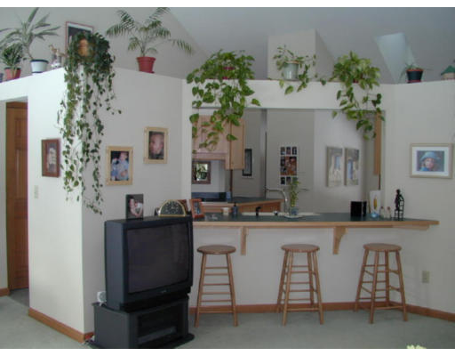 156 Nichewaug Road Petersham, MA 01366 - Photo 4 of 16 Gallery Image 4