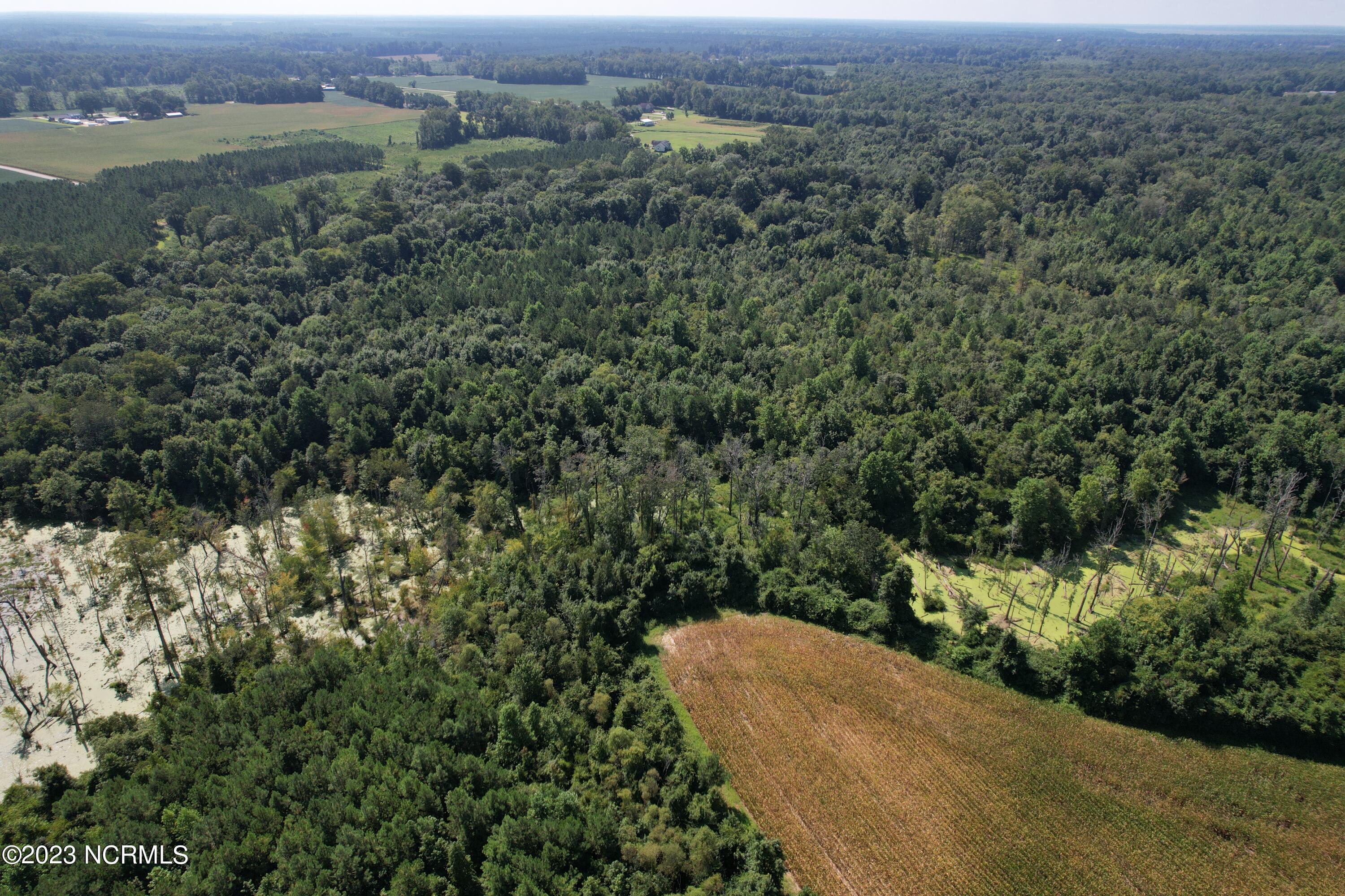 0 Wintergreen Road Cove City, NC 28523 - Photo 22 of 70 Wintergreen Road Road, Cove City