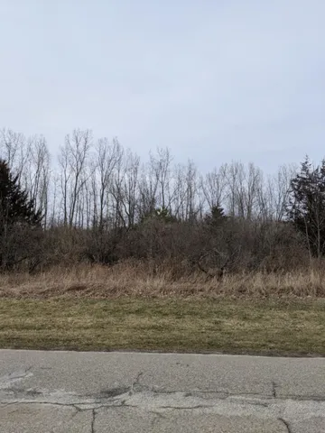 $11,800 | Tbd East Main Street, Maple Rapids, MI 48853