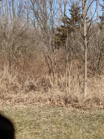 $11,800 | Tbd East Main Street, Maple Rapids, MI 48853