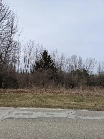 $11,800 | Tbd East Main Street, Maple Rapids, MI 48853