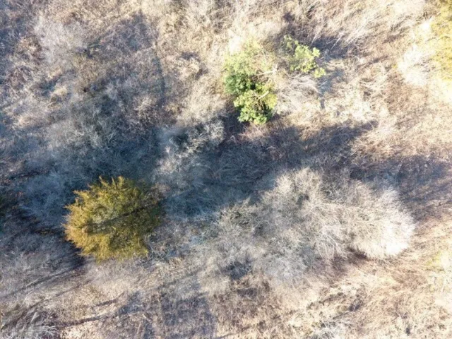 $11,800 | Tbd East Main Street, Maple Rapids, MI 48853