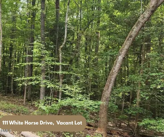 $14,000 | 111 White Horse Drive, Louisburg, NC 27549