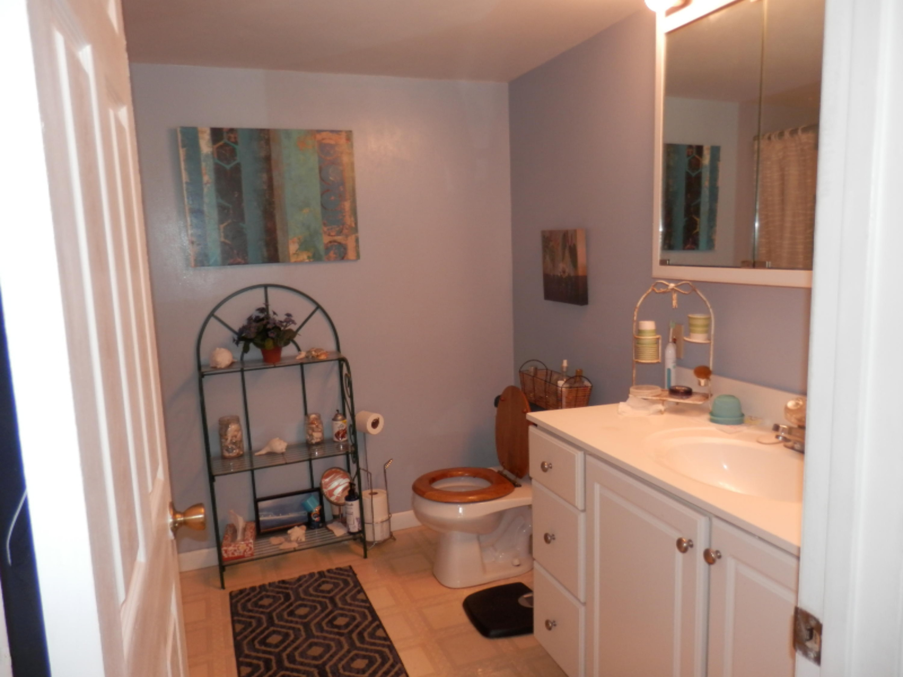 64778 Prairie River Road Sturgis, MI 49091 - Photo 7 of 17 P8020295