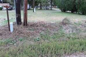 0 Fulshear Katy Road Fulshear, TX 77441 - Photo 3 of 9 a view of a yard