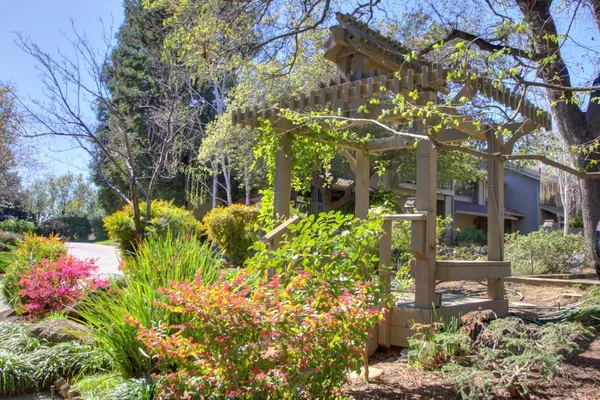 a view of a park with plants and trees