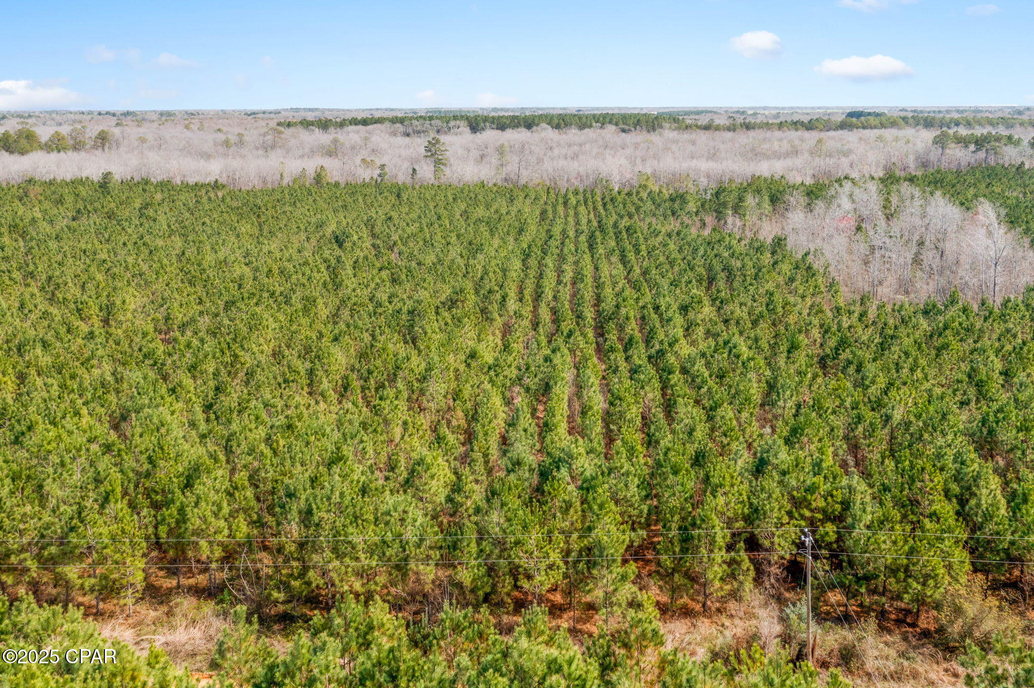 Lot 2 New Prospect Road Chipley, FL 32428 - Photo 17 of 26
