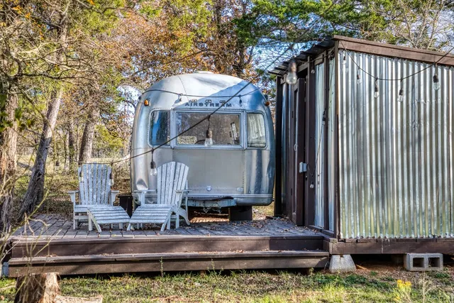 a view of a yard with plants and a trees