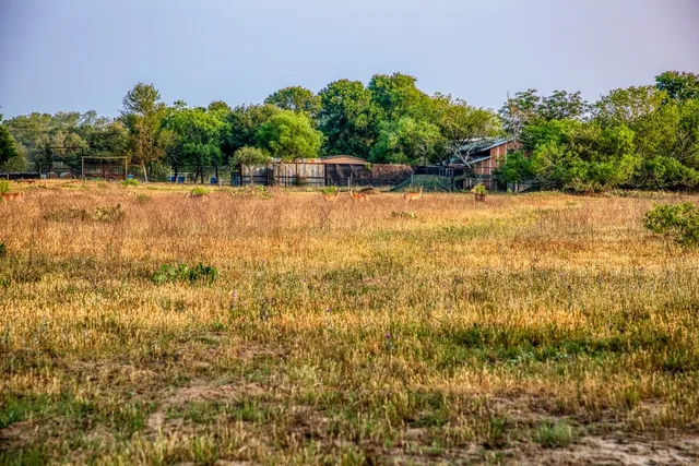 a view of yard with green space
