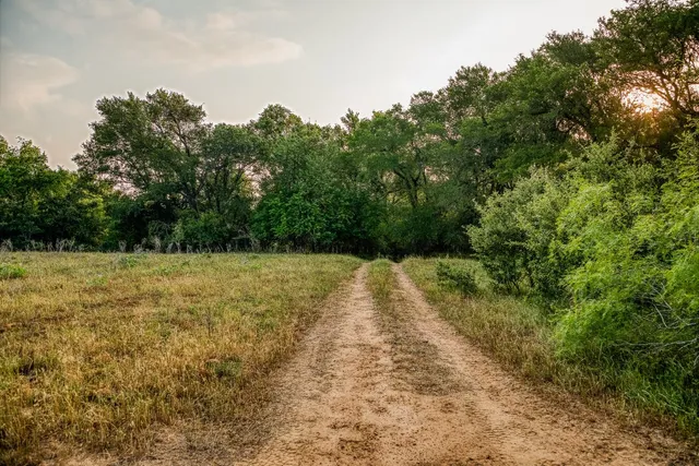 a view of backyard with green space