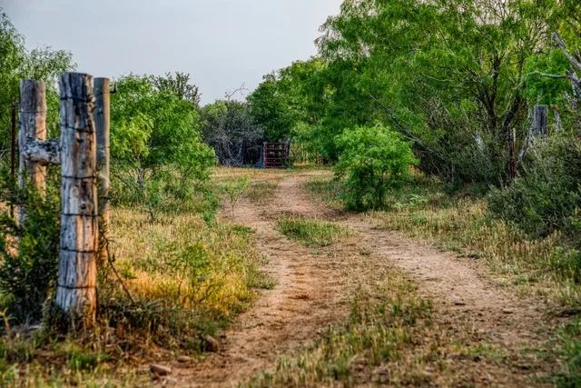 a view of a green yard