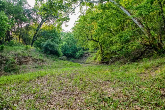 a view of an outdoor space and a yard