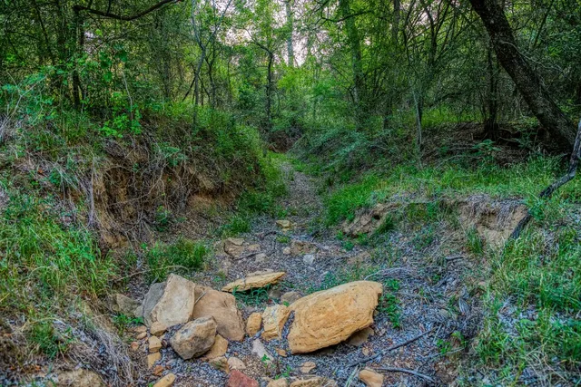 a view of outdoor space and green space