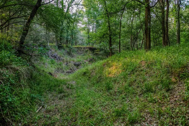 a big yard with lots of green space and deers